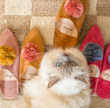 Pom pom 2025 shoes primark